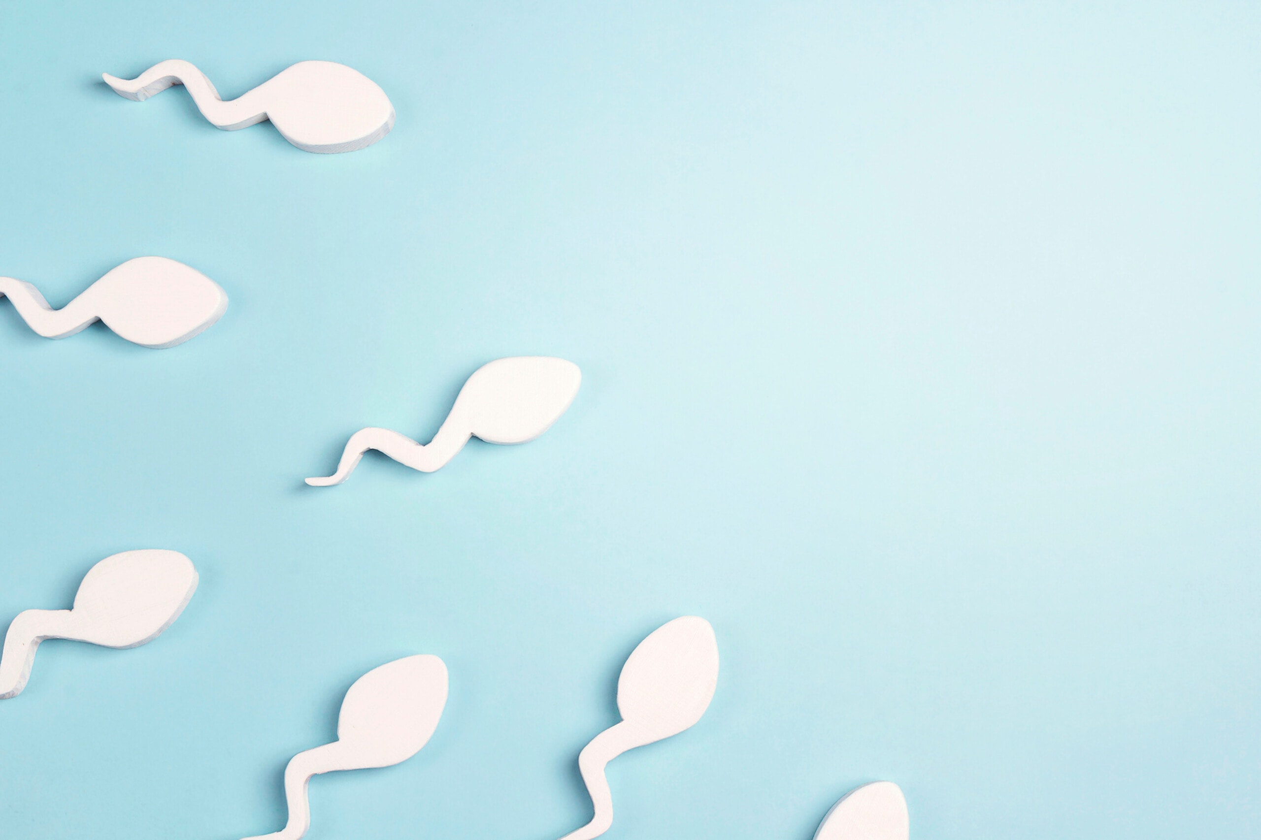OATS Male Infertility: Low Sperm Count, Poor Motility, Abnormal Shape OATS male infertility affecting sperm quality